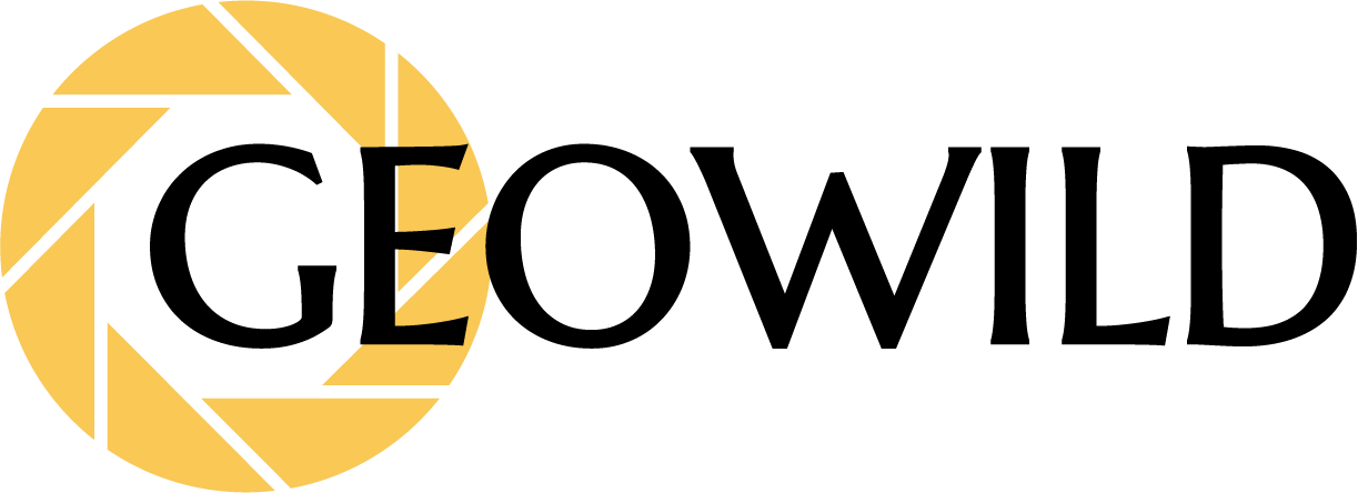 logo_Asset-12.png